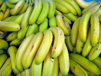 banana project thumbnail