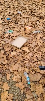 Trash classification for FINAL project thumbnail