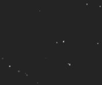 zaber_jurkat_validation_icarusPI project thumbnail