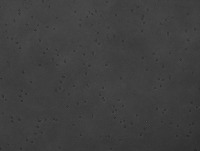 check_new2 project thumbnail