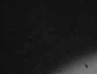 zaber_D5 project thumbnail