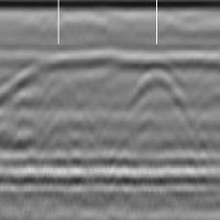 obj detection project thumbnail