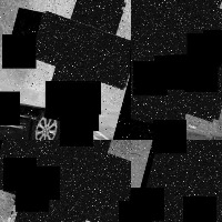 Dataset Image