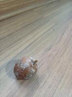 Lychee dataset project thumbnail