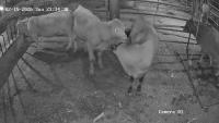 Cow Mounting (Only Big Box) project thumbnail