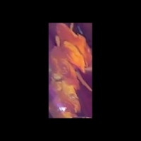 烤串分类_左 project thumbnail