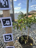 Plant.AI Outdoor project thumbnail