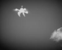 ir_test_2classes project thumbnail