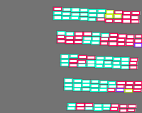 Annotation Visualization