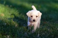 ameer- loop 2025 project thumbnail