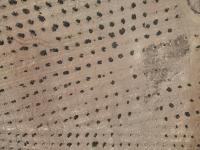 Drone Olive Tree Detection project thumbnail