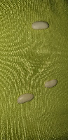 Detecting White Beans project thumbnail
