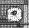 PMIimg Data Annotation project thumbnail