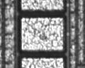 PMIimg Data Annotation-Seg project thumbnail