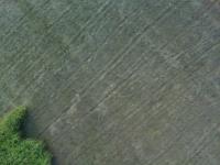 Fodder Detection project thumbnail