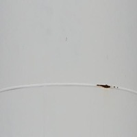 wind-turbine-faults-detection project thumbnail