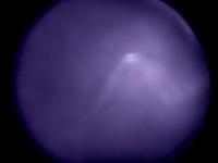 0725 project thumbnail