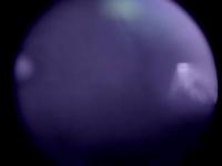 ori project thumbnail