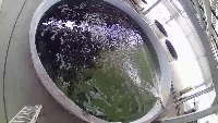 Pool project thumbnail