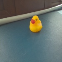 Duck project thumbnail