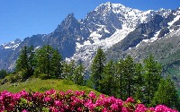 Landscape/nature project thumbnail