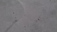 geodataset2 project thumbnail