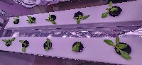 My First Project project thumbnail