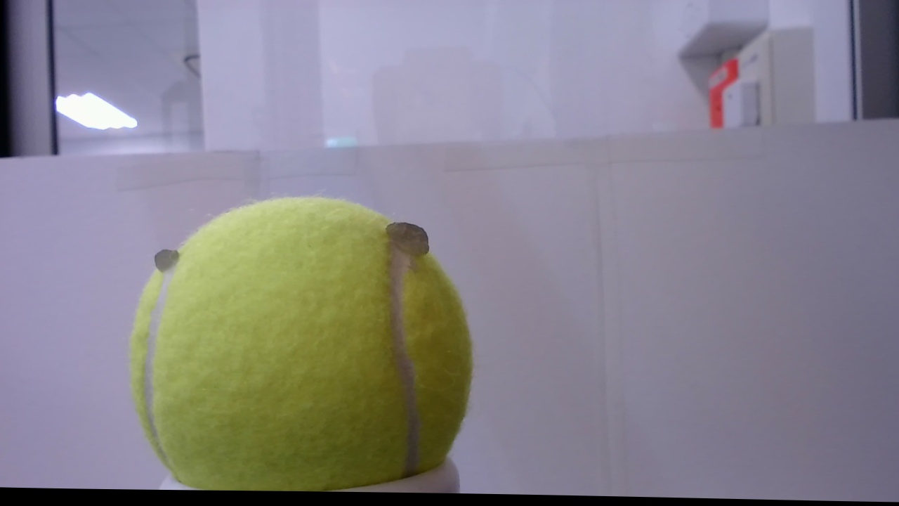 second Object Detection Dataset by project-vixep