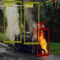 Dataset Image
