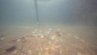 UnderwaterScenario project thumbnail