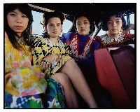 Dataset Image