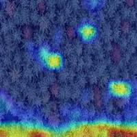 pine-thermal-detection project thumbnail