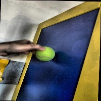 Dataset Image