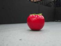 ECE4078 Fruits project thumbnail