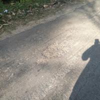 Road Damage Dataset project thumbnail
