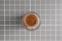 Fly Eggs project thumbnail