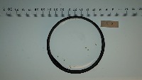 ReneDaphnia project thumbnail
