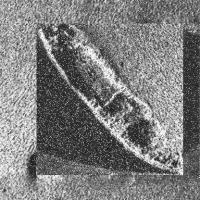 sonar image project thumbnail