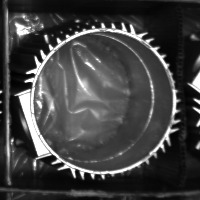 roto_chup_full_nguoc_xuoi project thumbnail