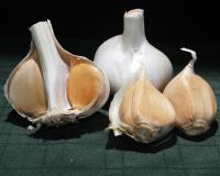 Garlic project thumbnail