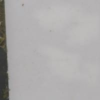 AXOLOTL project thumbnail
