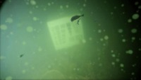 underwater_turbid project thumbnail