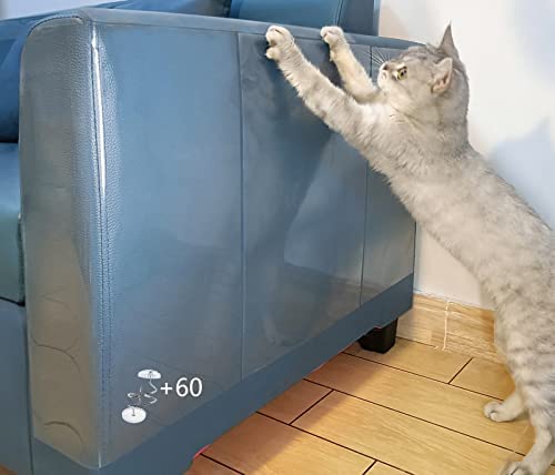 Cats1 Object Detection Model by Quinn Winter