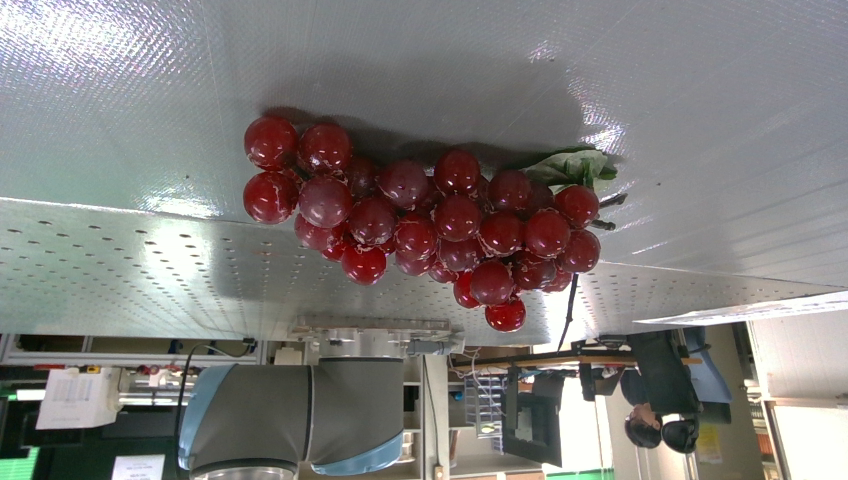 grape train Instance Segmentation Dataset by jkbkb