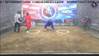 chicken_f project thumbnail