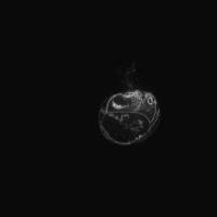 blob project thumbnail