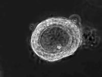 h2_20251125 project thumbnail