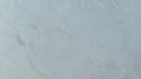 Sperm_detection_pilotlowquality project thumbnail