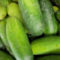 My First Project project thumbnail