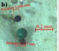 Marine Microplastic AI Detector Object Detection Model by Marine ...